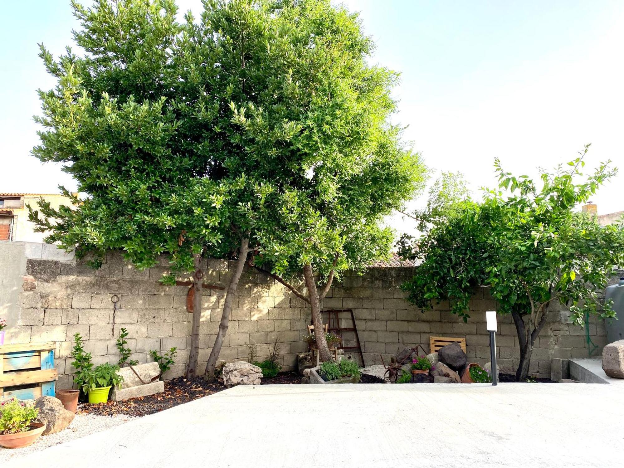 Casa Mora Appartement San Vero Milis Buitenkant foto