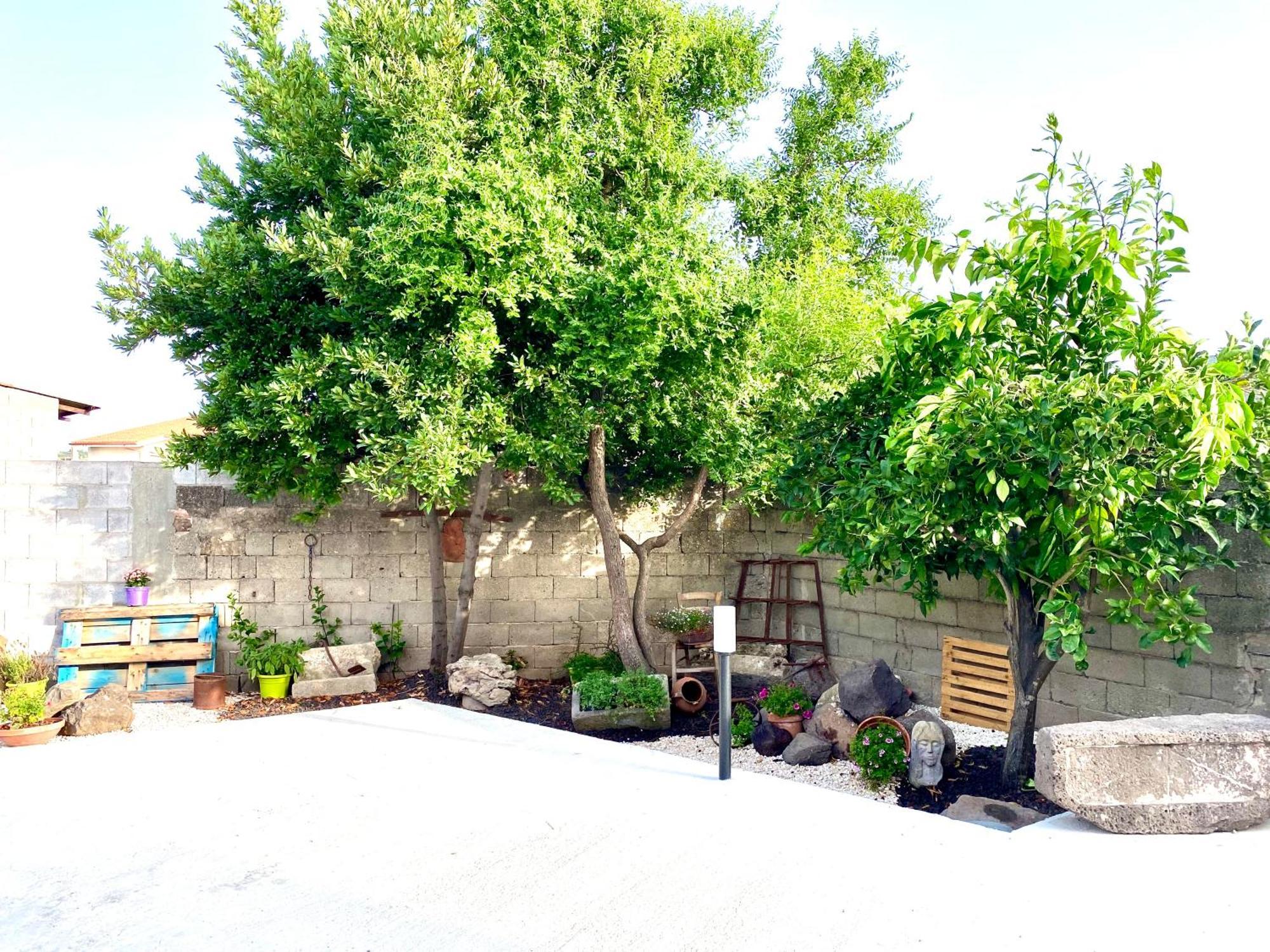 Casa Mora Appartement San Vero Milis Buitenkant foto